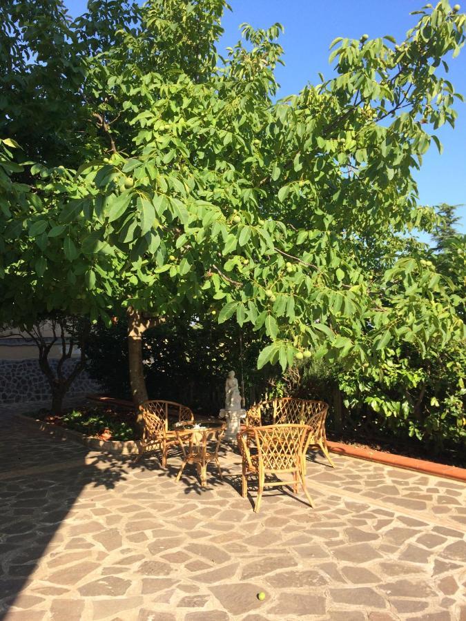 B&B "Croce Nivera" Вибо Валентия Екстериор снимка
