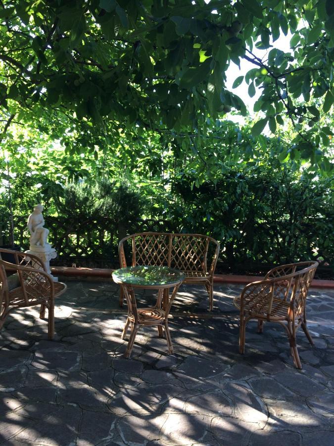 B&B "Croce Nivera" Вибо Валентия Екстериор снимка